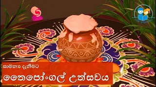 තෛපෝංගල් උත්සවය l තෛපෝංගල් දිනයේ වැදගත්කම l  පරිසරය දැනුමටl thaipongal dinaya l thaipongal fastival