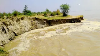 Dariya Sindh ka shadeed katao||Javed Bhai official/Erosion of land due to Sindh river