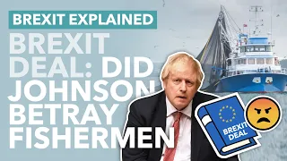 Did Johnson Betray the Fishing Industry: What the Brexit Deal Means for British Fish - TLDR News