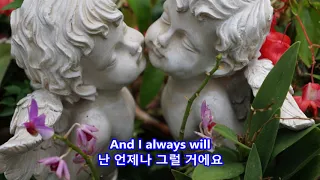 Love Me Tender - Elvis Presley: with Lyrics(영어가사/한글번역) ||  Hantaek Botanical Garden (한택식물원)