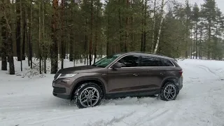 Skoda Kodiaq вышел из берлоги!  Не рано ли на бездорожье/offroad?