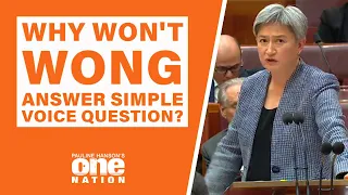 How Embarrassing! Penny Wong refuses to answer simple Voice question.