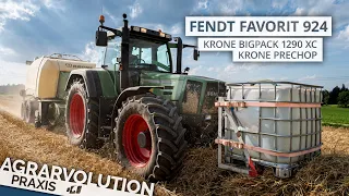 Fendt Favorit 924 + Krone BigPack 1290 XC PreChop • Square baling straw | Agrarvolution Praxis