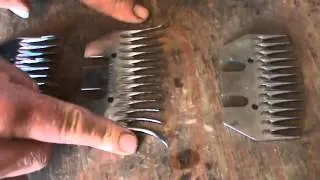 Shearing   The difference between shearing combs and cutters, different types Shearing & Fencing