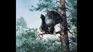 Охота на Глухаря, лучше выстрела и интересное моменты,Capercaillie Hunt