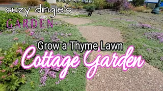 How to Grow a THYME LAWN