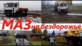 МАЗ на бездорожье.MAZ off-road