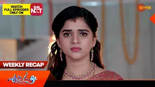 Uppena - Weekly Recap |01 Jan - 07 Jan 2024| Gemini TV | Telugu Serial