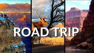 ""😱Epic Road Trip: Grand Canyon🌲""