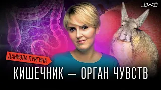 Лекция Даниэлы Пургиной  "Почему кишечник можно считать органом чувств?"