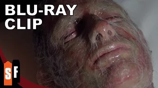 Invasion of the Body Snatchers (1978) - Clip 2: Its Eyes! (HD)