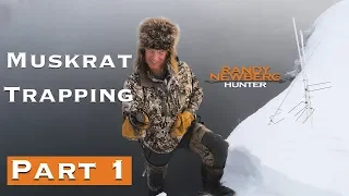 Trapping Muskrats with Randy Newberg | How To (Part 1)