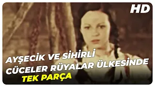 Ayşecik ve Sihirli Cüceler Rüyalar Ülkesinde - Eski Türk Filmi Tek Parça