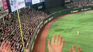 WBC日本VSオーストラリア戦 大谷翔平選手のエグすぎるホームラン⭐️東京ドーム⭐️(お父さんとお母さんと見に行ってるので話し声してます)