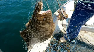 獲れたものだけで海鮮天丼つくってみた。