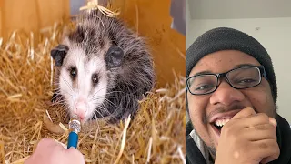 I interviewed animals with a tiny mic By Maya | REACTION!!!