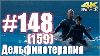 Дельфинотерапия. Занятие №148 (159)