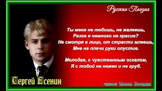 Ты меня не любишь, не жалеешь —Сергей   Есенин—читает Павел Беседин