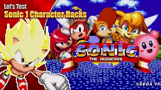 Sonic 1 Character Hacks - But does it work on Real Hardware? ft many YouTubers!