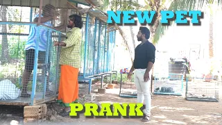 NEW PET  Prank | Prankster Rahul Azar | 224