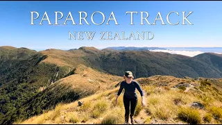 4K Paparoa Track | Hiking New Zealand | Great Walks No 1