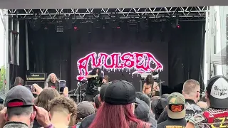 Avulsed | Live at Maryland Deathfest 2024 [3XIL3D LIVE]