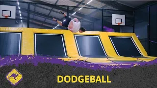 Dodgeball bij Krazy Kangaroo