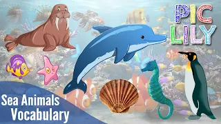 Learn English with Sea Animals Vocabulary | Slides Pictures Videos and Subtitles