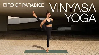 Vinyasa Yoga Flow | zu Bird of Paradise | kraftvolle 45 Min für die Mittelstufe & Fortgeschrittene