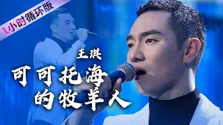 王琪《可可托海的牧羊人》精选8个最动人的版本！听完不禁泪流满面！（一小时循环版）| 中国音乐电视 Music TV
