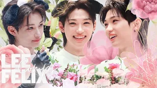 [HD] soft/cute lee felix clips for editing  + mega link