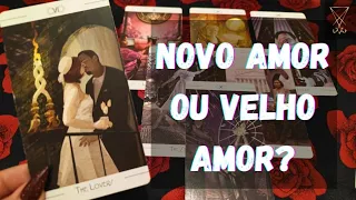 Novo amor ou velho amor? 81998966126