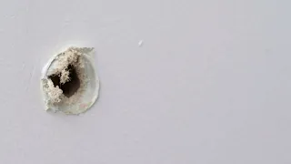 Patch Screw Holes In Drywall In 4 Easy Steps | The Spruce #HowToPatchScrewHolesInDrywall