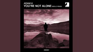 You're Not Alone (Seelo Remix)