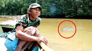 6 Crocodile Encounters You'll Regret Clicking On