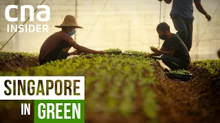 How Can Singapore Be Truly Green? | Singapore In Red, Green And Blue | Full Episode