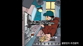 Camel - Lady Fantasy