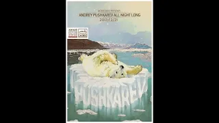 Andrey Pushkarev - Live @ All Night Long, A38 (Budapest) 2013.12.21