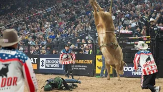 The best Bucking Bull Moments PBR 2022