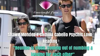 Shawn Mendes & Camilla Cabello Psychic Love Reading💘What will transpire?Predictions on reunion❤️‍🔥