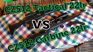 Высокоточная стрельба из мелкашки в сильный ветер.Сравнение CZ512 tactical 22lr и CZ512 Carbine 22LR