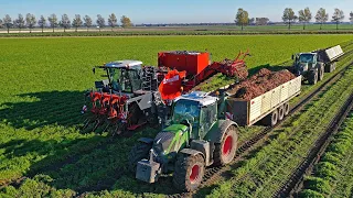 XXL Harvest Special | Franzen Agriculture | Potatoes & carrots | Planting tulips & wheat