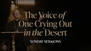The Voice of One Crying Out in the Desert - Bishop Barron's Sunday Sermon