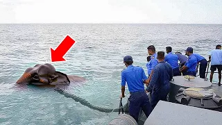 Sailors Spot Something In The Water – They Scream In HORROR When They See IT!