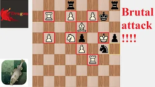 Stockfish vs Dragon  |  Computer Chess Championship Rapid | collection #14