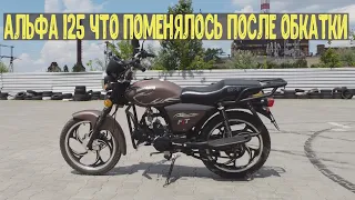 Обзор Альфа 125 после 1300 км musstang mt125-8 fit