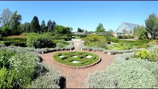 Visiting Matthaei Botanical Gardens, Botanical Garden in Ann Arbor Charter Township, Michigan