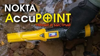 Пинпоинтер Nokta AccuPoint! Лучший среди пинпоинтеров!