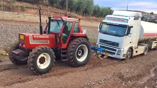 40Vedio  Beauty Fiat Tractor🤨😲اجمل اربيعين  مقطع فيات