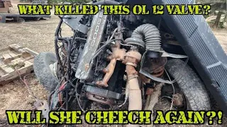 12 VALVE CUMMINS... ZOMBIE EDITION!!